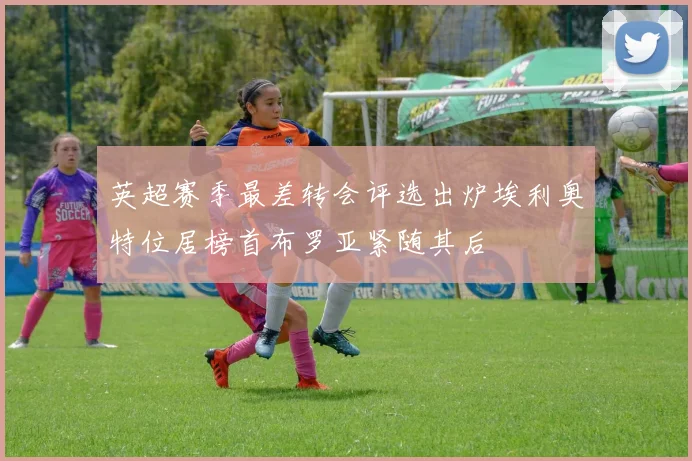 英超赛季最差转会评选出炉埃利奥特位居榜首布罗亚紧随其后